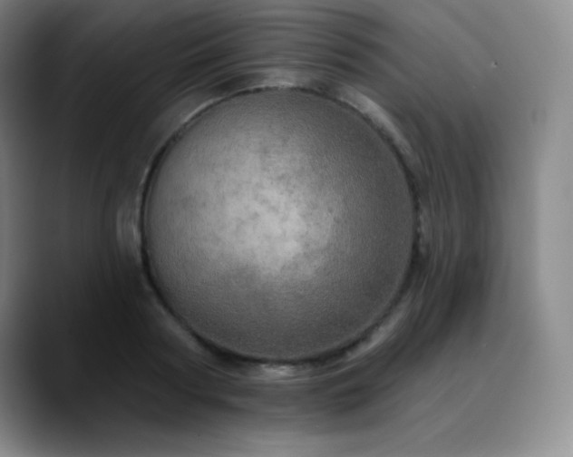 X0000090440794200707131218