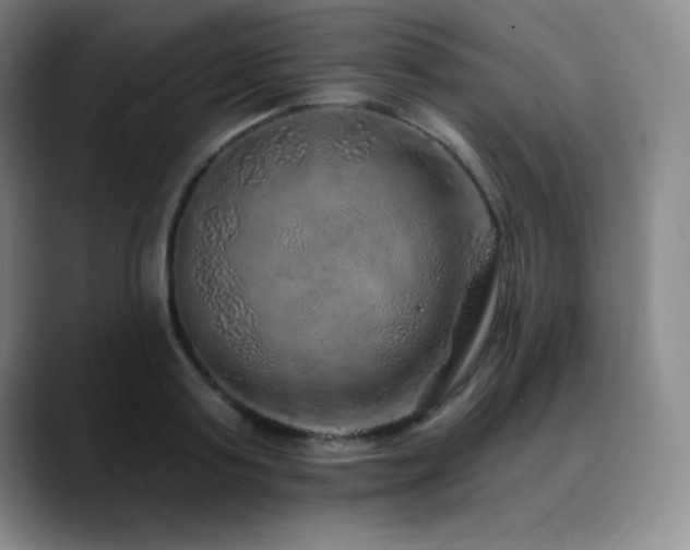 X0000090440795200707131218