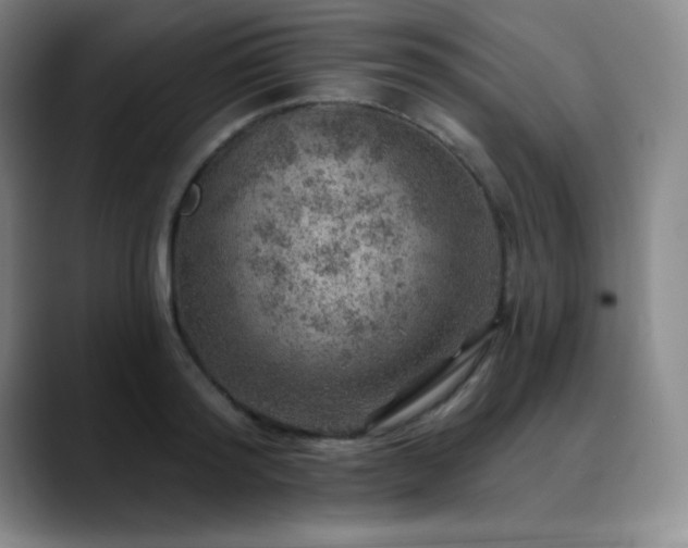 X0000090440796200707131218