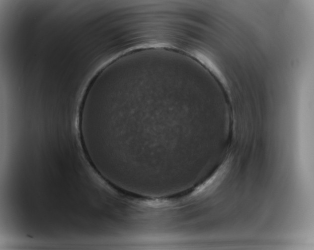 X0000090440797200707131218