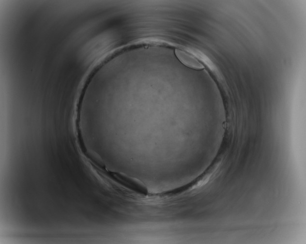 X0000090440799200707131218