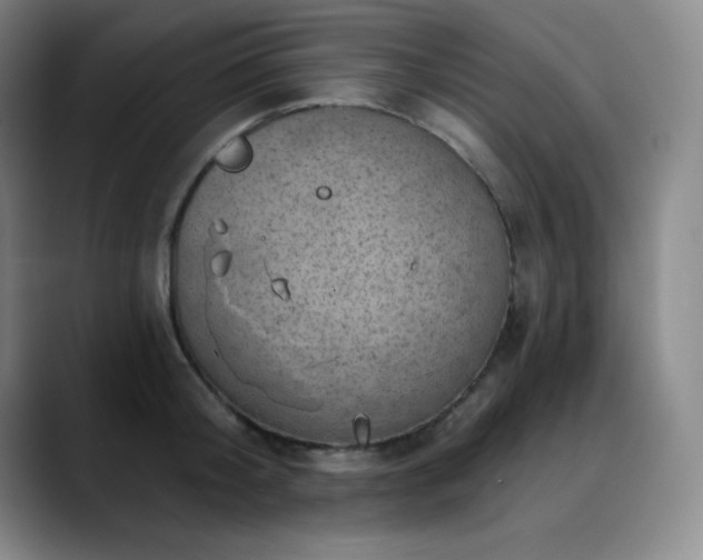 X0000090440804200707131218