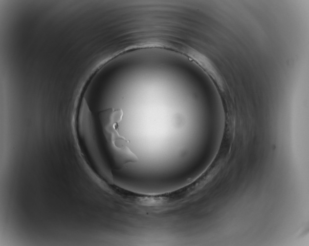 X0000090440805200707131218