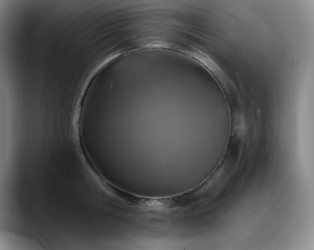 X0000090440806200707131218