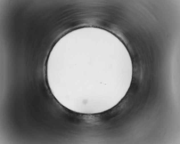 X0000090440807200707131218