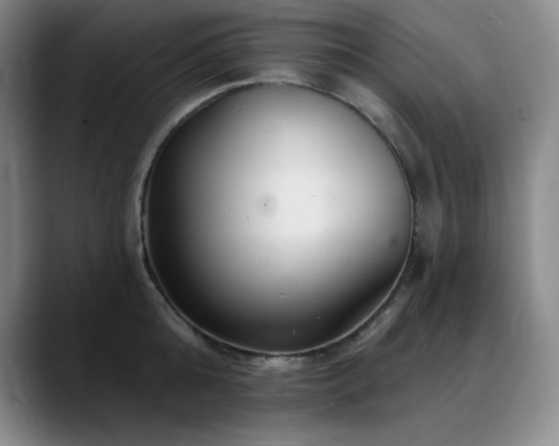 X0000090440808200707131218