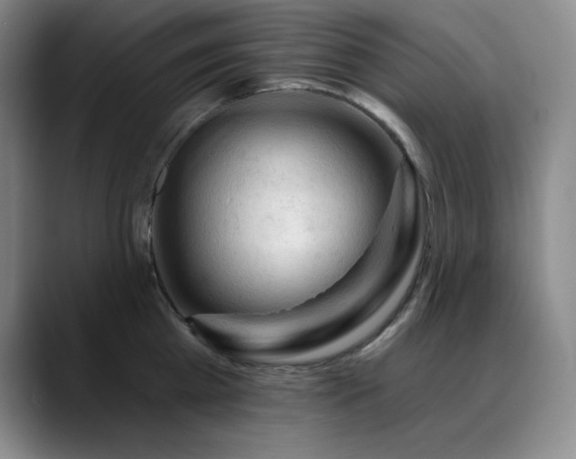 X0000090440809200707131218