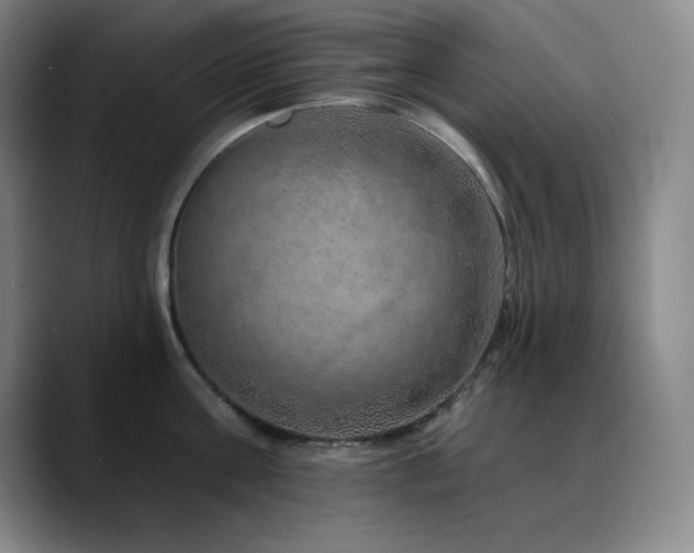 X0000090440811200707131218