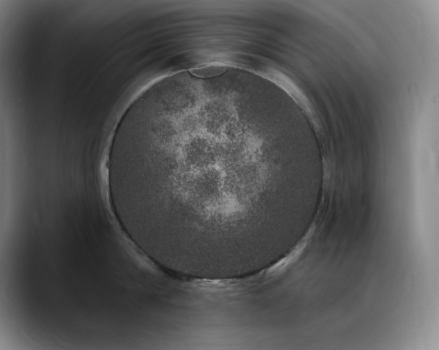 X0000090440814200707131218