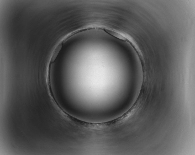 X0000090440815200707131218