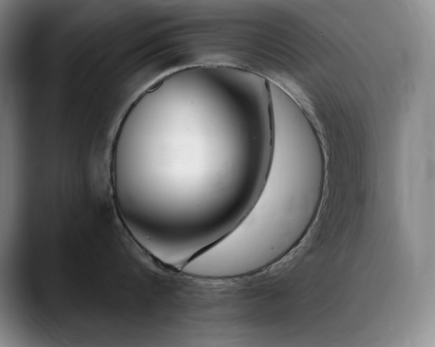 X0000090440816200707131218