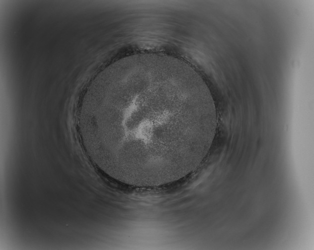 X0000090440817200707131218