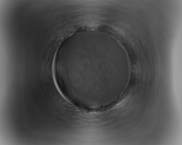 X0000090440818200707131218