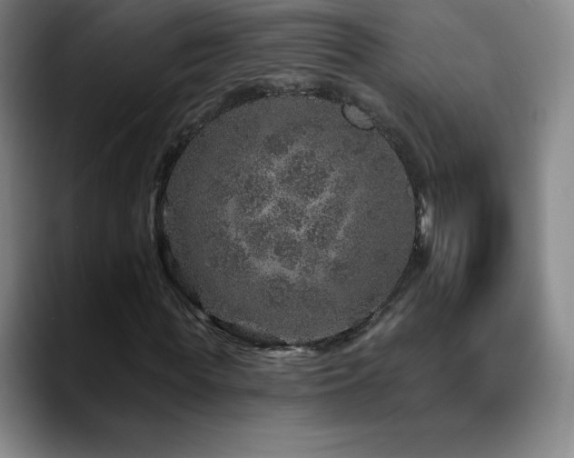 X0000090440819200707131218