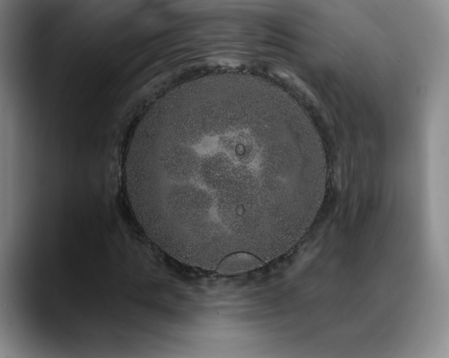 X0000090440821200707131218