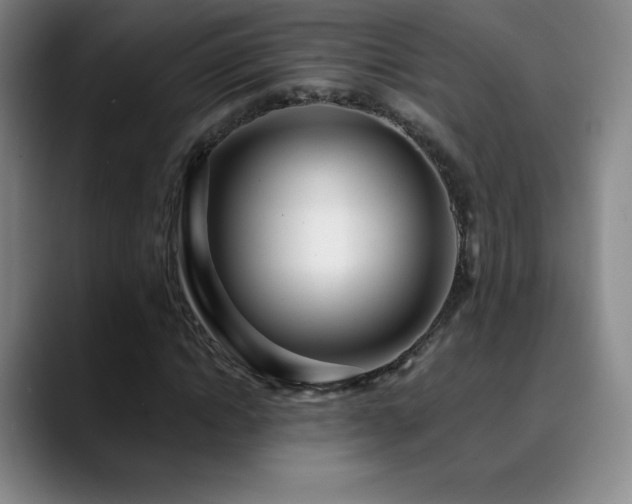 X0000090440822200707131218