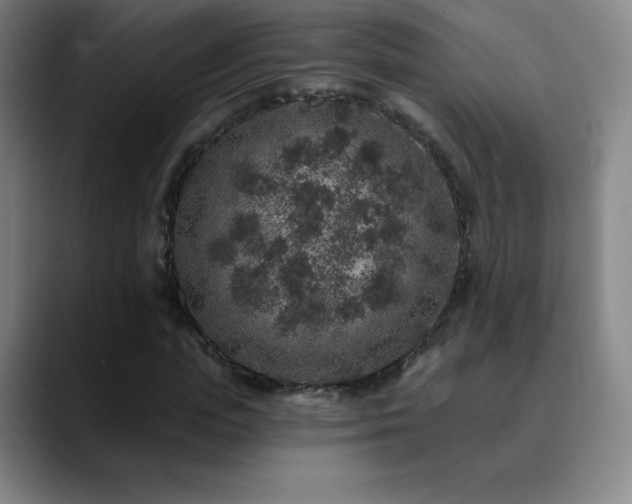 X0000090440823200707131218