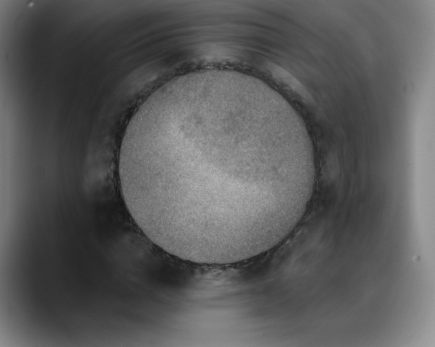 X0000090440824200707131218