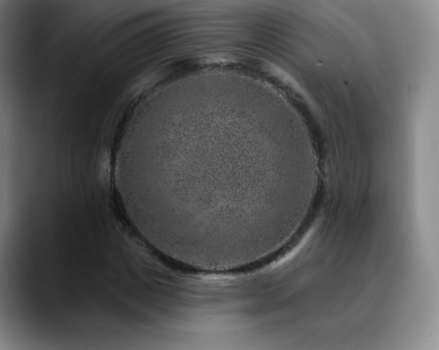 X0000090440825200707131218