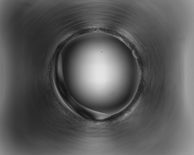 X0000090440826200707131218