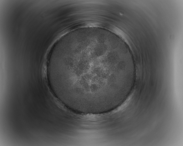 X0000090440827200707131218