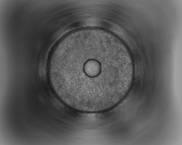 X0000090440828200707131218