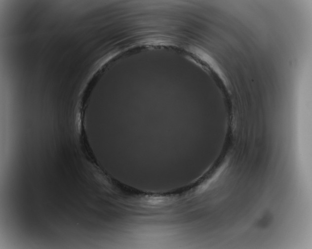 X0000090440829200707131218