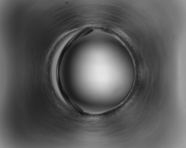 X0000090440830200707131218