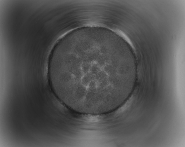 X0000090440831200707131218