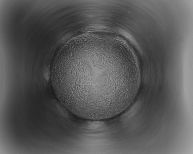 X0000090440833200707131218