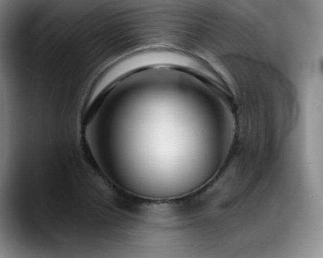 X0000090440834200707131218