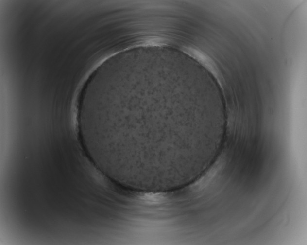 X0000090440835200707131218