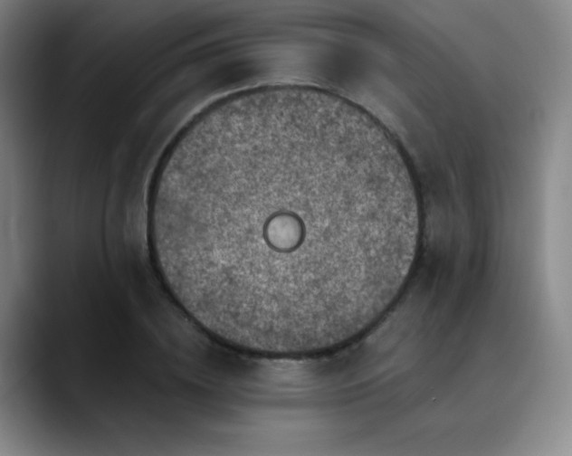 X0000090440836200707131218