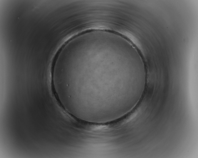 X0000090440837200707131218