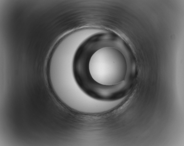 X0000090440838200707131218