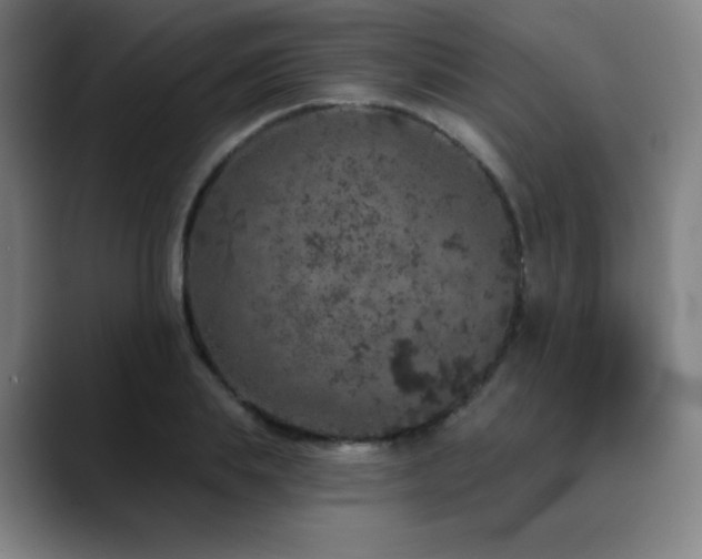 X0000090440839200707131218