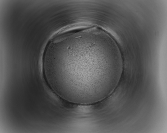 X0000090440840200707131218