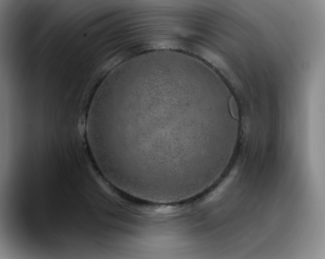 X0000090440841200707131218