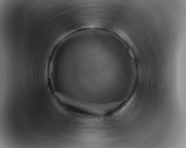 X0000090440842200707131218