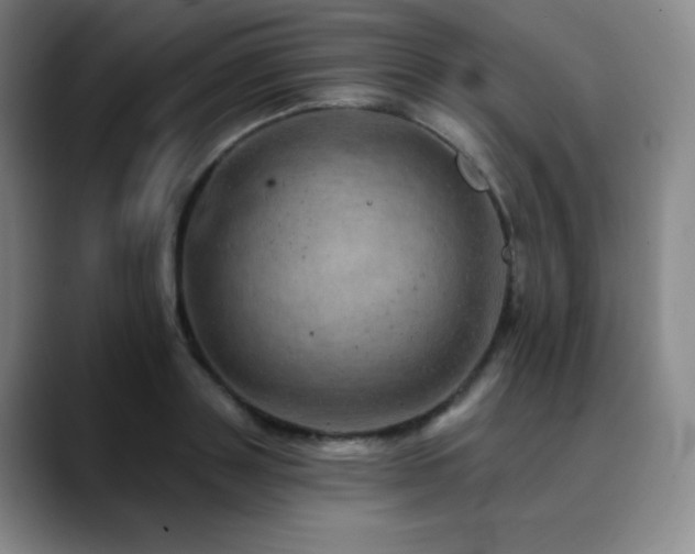 X0000090440843200707131218