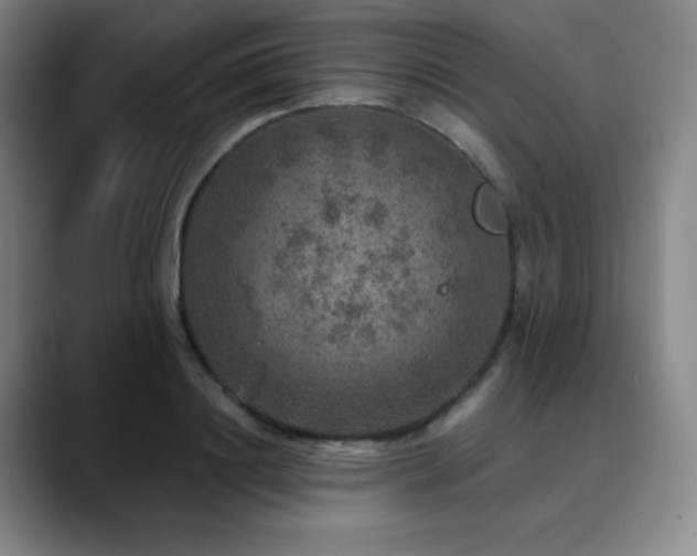 X0000090440844200707131218