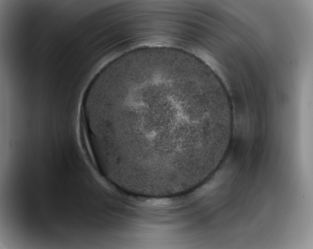 X0000090440845200707131218