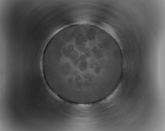 X0000090440847200707131218