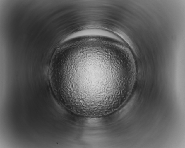 X0000090440849200707131218