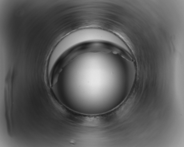 X0000090440850200707131218