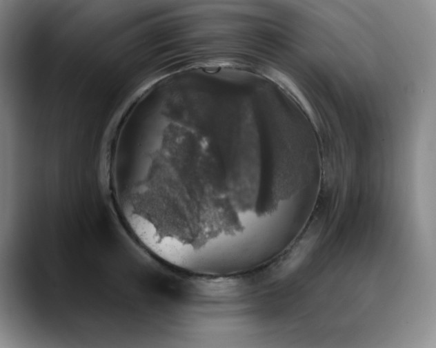 X0000090440851200707131218