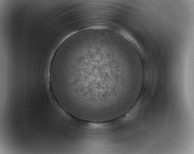 X0000090440852200707131218