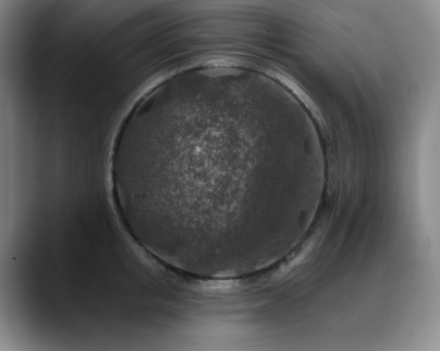 X0000090440853200707131218