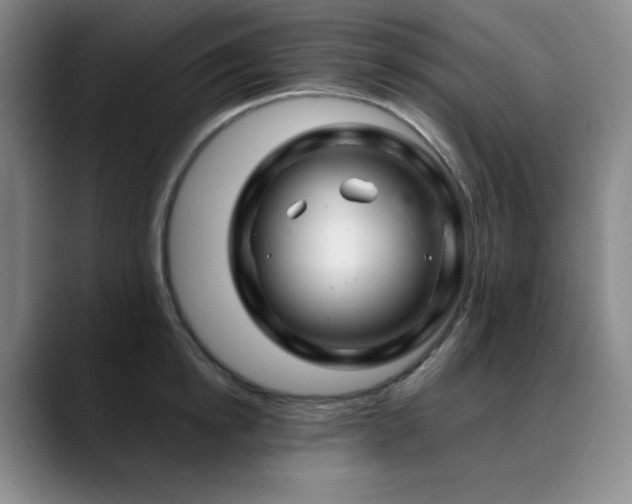 X0000090440854200707131218