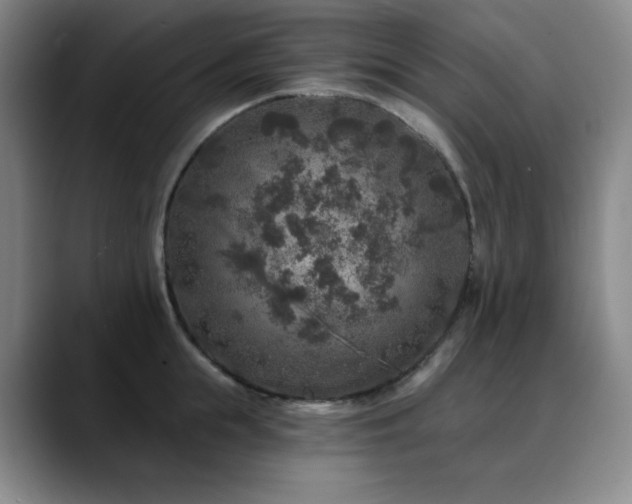 X0000090440855200707131218